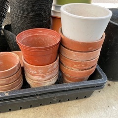 プランター　ビニールポリポット　育苗箱　の画像