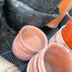 プランター　ビニールポリポット　育苗箱　の画像