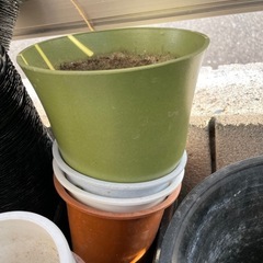 プランター　ビニールポリポット　育苗箱　の画像