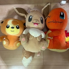 3月中　ポケモン　ぬいぐるみ２点　ヒトカゲ　イーブイの画像