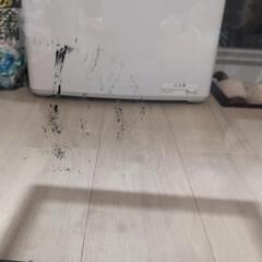 エキゾテラ30cm四方ゲージの画像