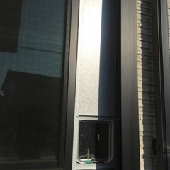 【取引完了】小型犬・猫用 S型ペットドアー ペットスルーもん PTG-2000の画像