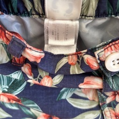 海水パンツの画像