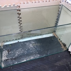 ガラス水槽90センチの画像
