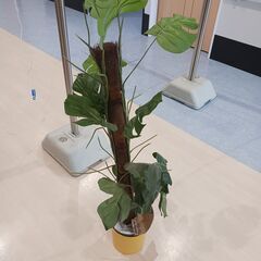 あげます！ガラステーブル・ハンガーラック・ベッドマット・マットレス・観葉植物・座卓テーブルの画像
