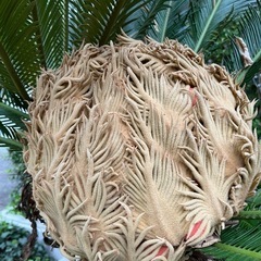 趣味友　募集中 - メンバー募集