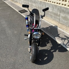 早い者勝ち
ダックス　引き取り限定の画像