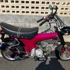 早い者勝ち
ダックス　引き取り限定の画像