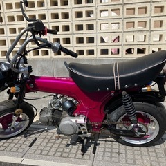 早い者勝ち
ダックス　引き取り限定