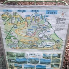 山登り始めました！