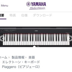 【浦安市】Piaggero（ピアジェーロ）NP-11