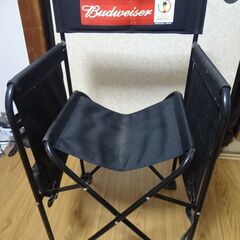 2002年ワールドカップのディレクターチェア