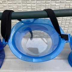海中メガネの画像