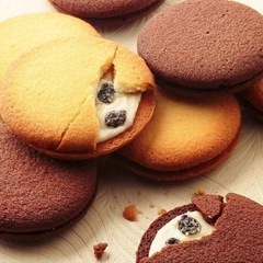 受付終了⭐️【未開封】アンリ・シャルパンティエ ラング・ド・シャ 5枚入  お菓子 チョコレート プレーン レーズンの画像