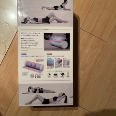 EMS POWERROLLの画像