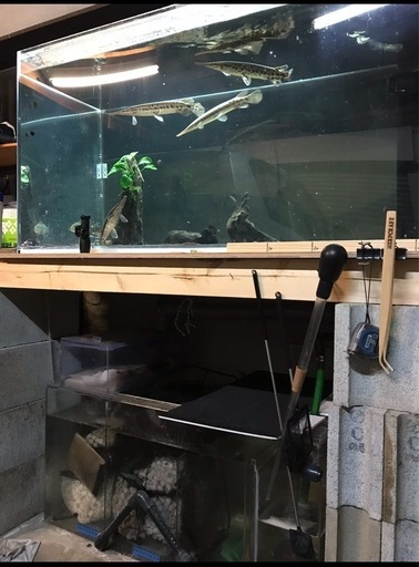 アクリル水槽120×60×60 オーバーフローセット