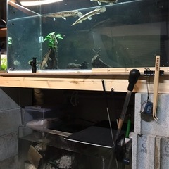 アクリル水槽120×60×60 オーバーフローセットの画像