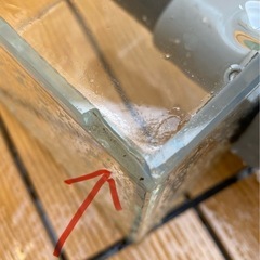 リフジウム水槽の画像