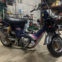 HONDAシャリー50       の画像