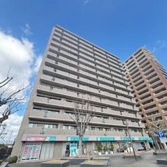 🏡🐶小型犬飼育相談可　駅目の前　最上階3LDKリノベ済賃貸マンシ...