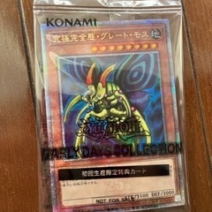 遊戯王　カードのみ