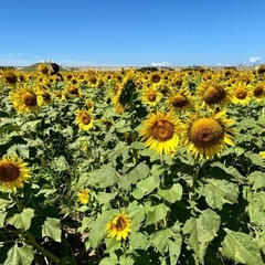 ママ友募集！大川在住です！