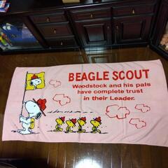 厚木方面🆗Peanutランド￥6000の品  BIGタオル
