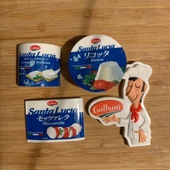 冷蔵庫に使えるマグネット4つ