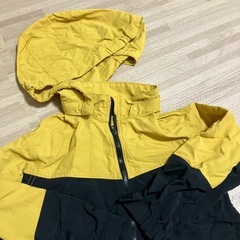 春用アウターの画像