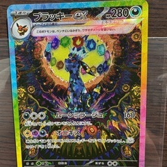 テラスタルフェスex ブラッキーex SAR PSA