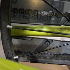 LOUIS GARNEAU（ルイガノ） K18 liteの画像