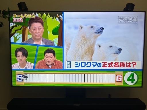 TCL 55V型 4Kチューナー内蔵 液晶テレビ QLED採用 倍速駆動パネル搭載