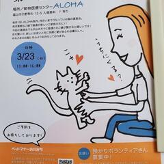 3月23日福山で保護猫の譲渡会