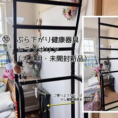 １０　ぶら下がり健康器具と（大人用）トランポリン