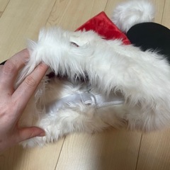 ディズニークリスマスサンタ帽子の画像