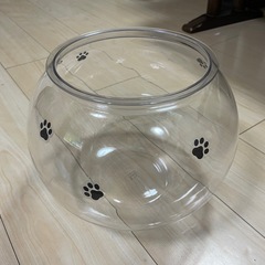 キャティーマン にゃんこ 金魚鉢 ネコの画像