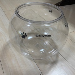 キャティーマン にゃんこ 金魚鉢 ネコの画像