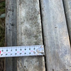 1本1000の画像