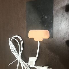 爬虫類用　パネルヒーター　小