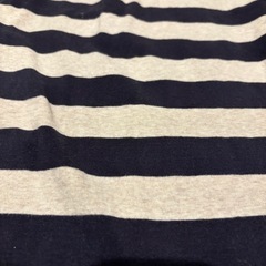 しましまスカートの画像