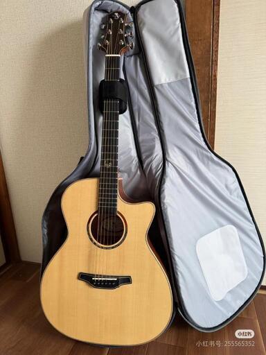 弦楽器、ギター Naga