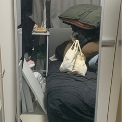 鏡の画像