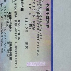 ［値下げしました］HY SKY Fes 2025 & 前夜祭ライブテントエリアチケットの画像