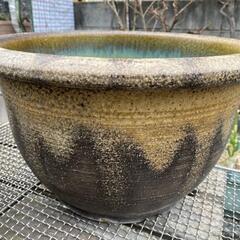 ［取引決定しました！］睡蓮鉢・金魚鉢・メダカ鉢（その2）