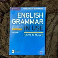 「english grammar in use」