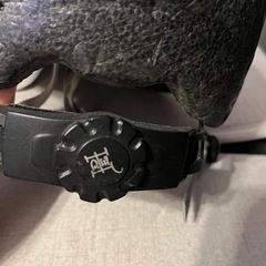 エドハーディ自転車ヘルメットの画像