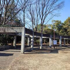 太極経絡気功　無料修練会の画像