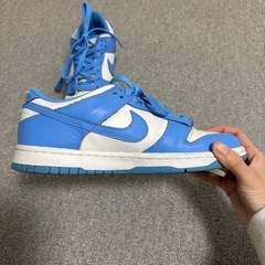 レディース スニーカー ナイキ NIKE ブルー 青の画像