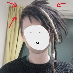ドレッドヘア、ロックス、ドレッドロックス！ Dreadlocks...
