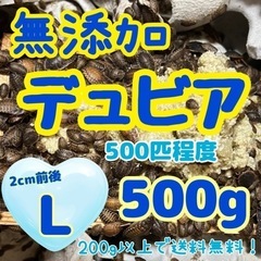 無添加デュビア Ｌサイズ 500g